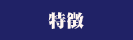 セールスポイント